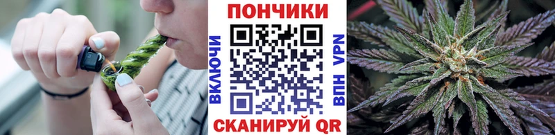 Купить где  Вельск  Каннабис семена 